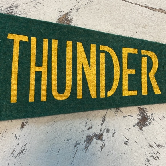 Vintage Thunder Bay Ontario Souvenir Pennant - Picture 4 of 5